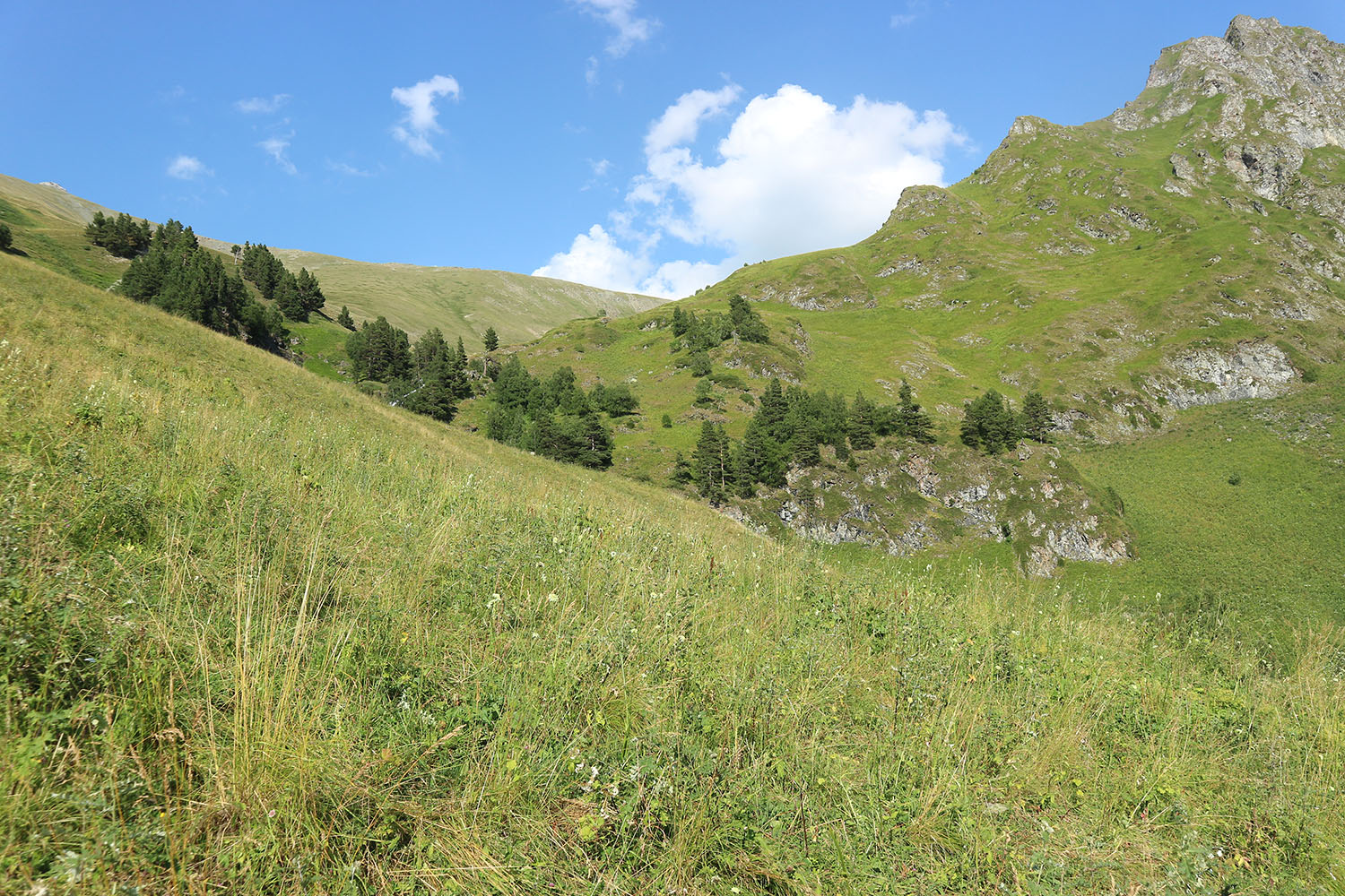 Долина реки Загедан, image of landscape/habitat.