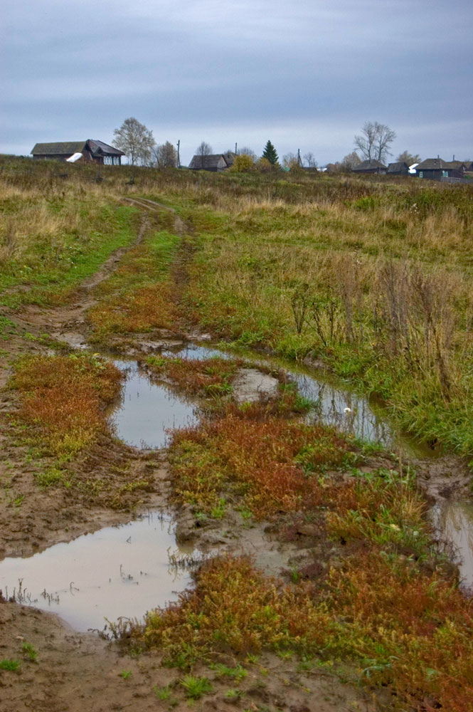 Окрестности села Молёбка, image of landscape/habitat.