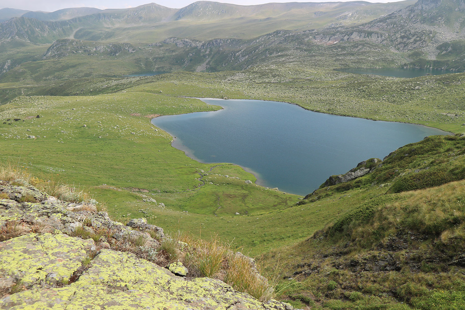 Гора Загедан Скала, image of landscape/habitat.