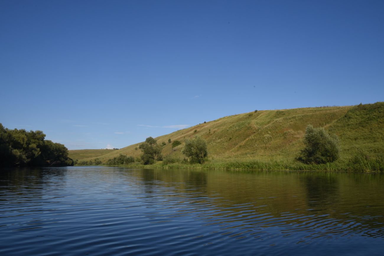 Урочище Стрешнево, image of landscape/habitat.