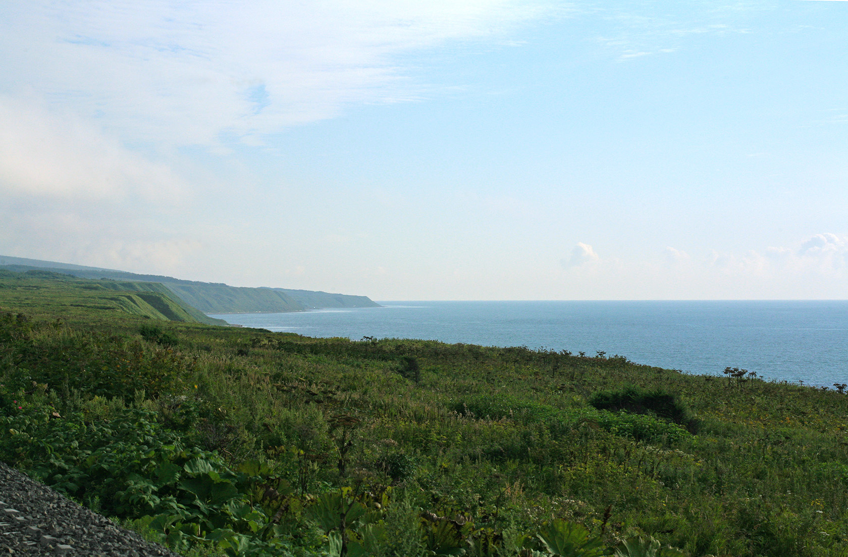 Томари, image of landscape/habitat.