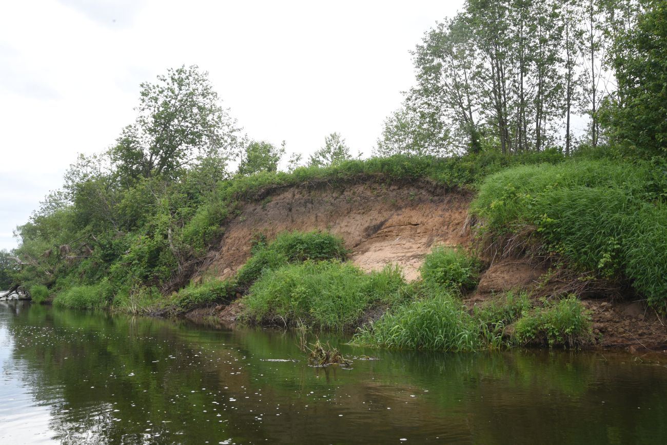 Устье ручья Чёлоховский, image of landscape/habitat.