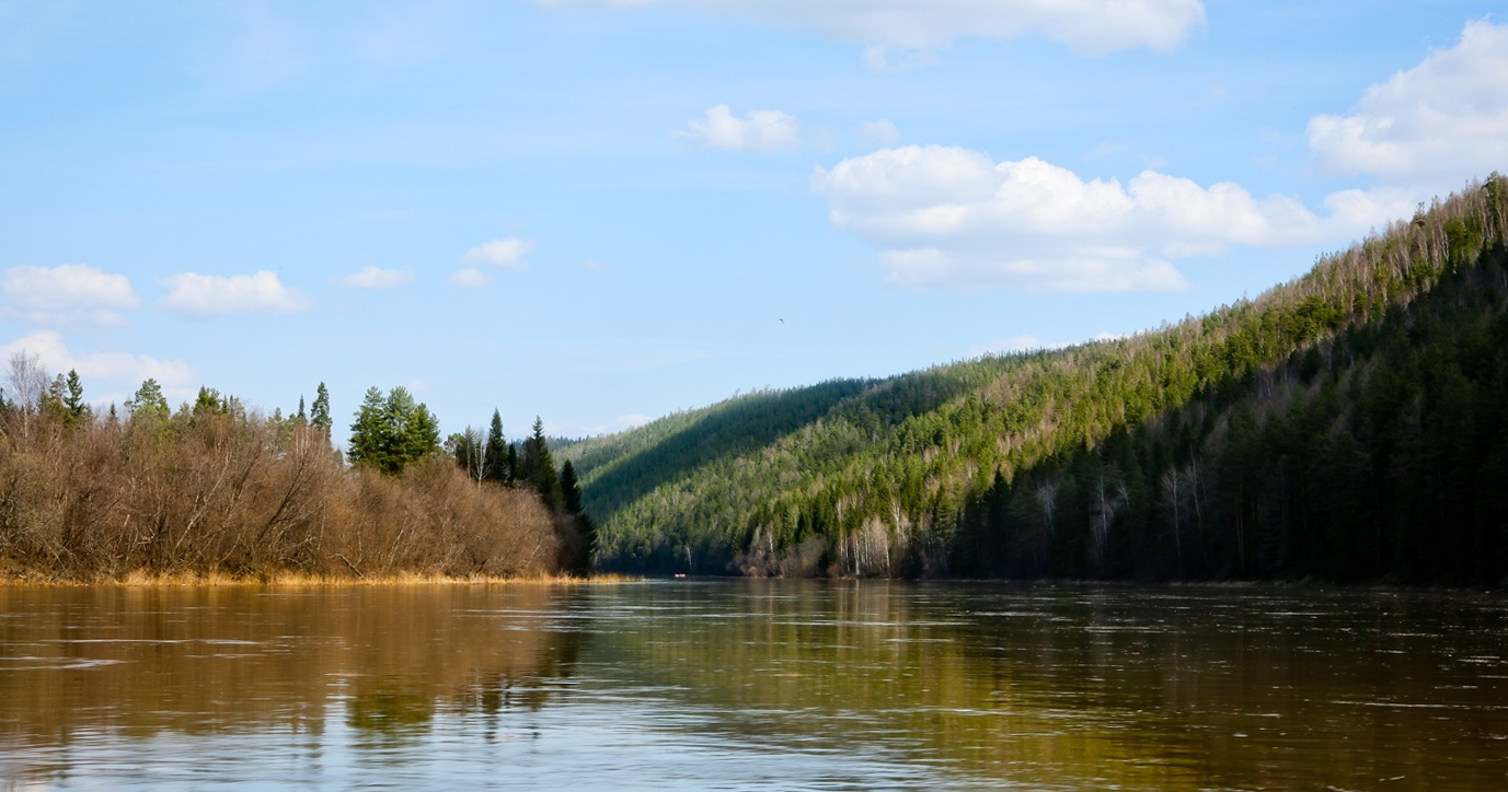 Кын и его окрестности, image of landscape/habitat.