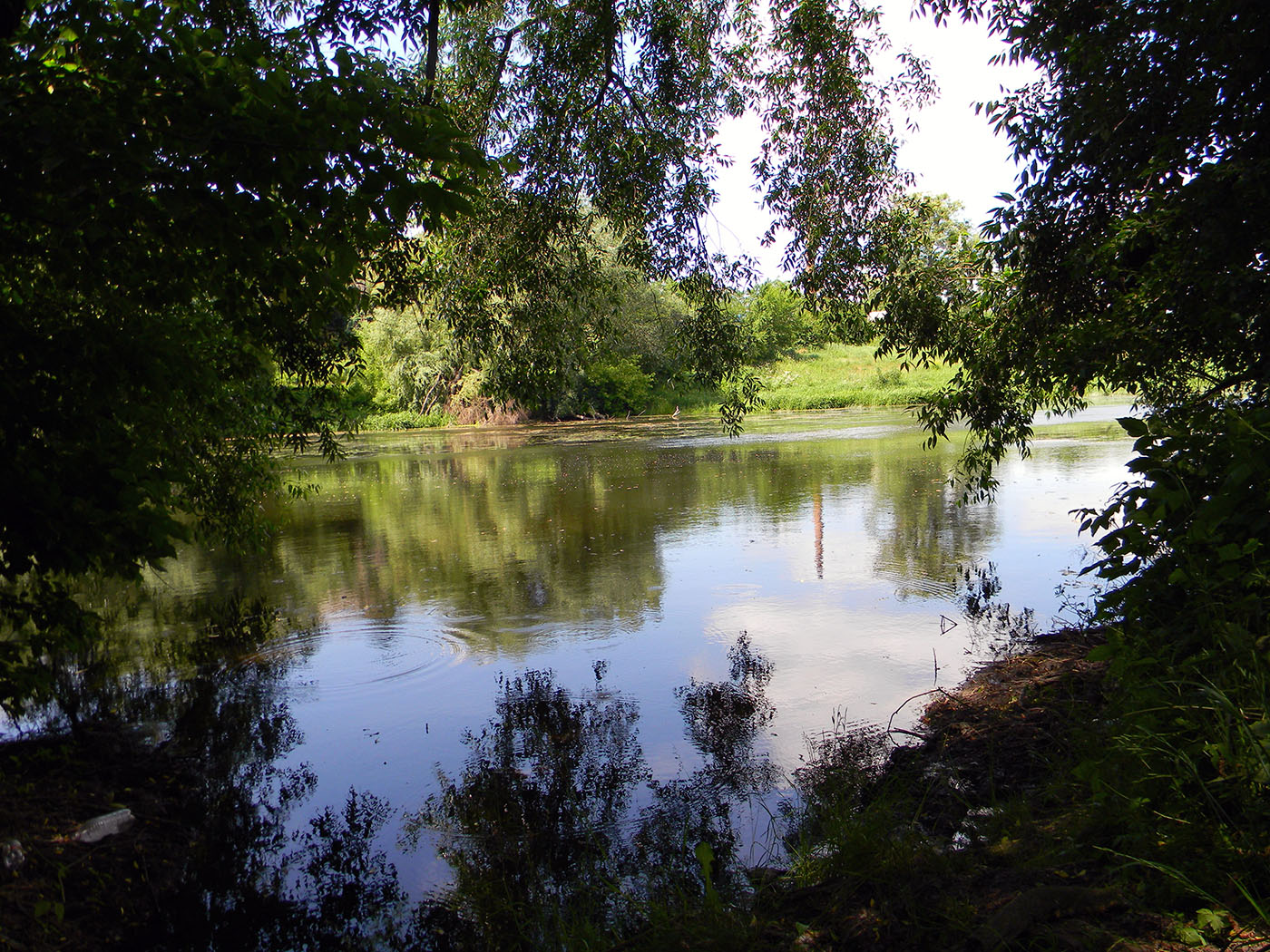 Новоград-Волынский, image of landscape/habitat.