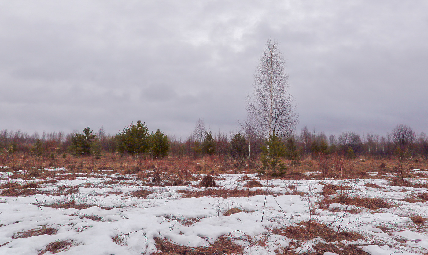 Закамск, image of landscape/habitat.