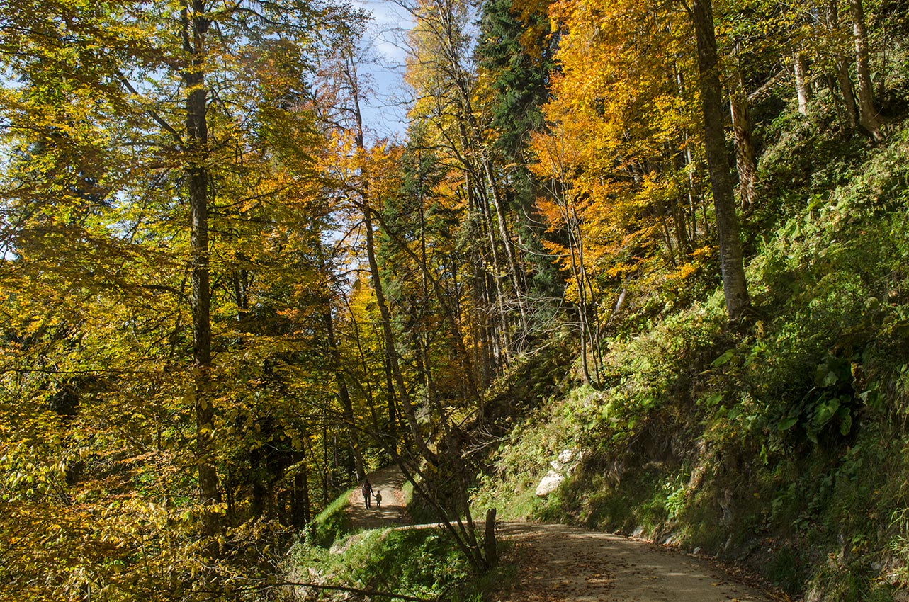 Парк водопадов Менделиха, image of landscape/habitat.