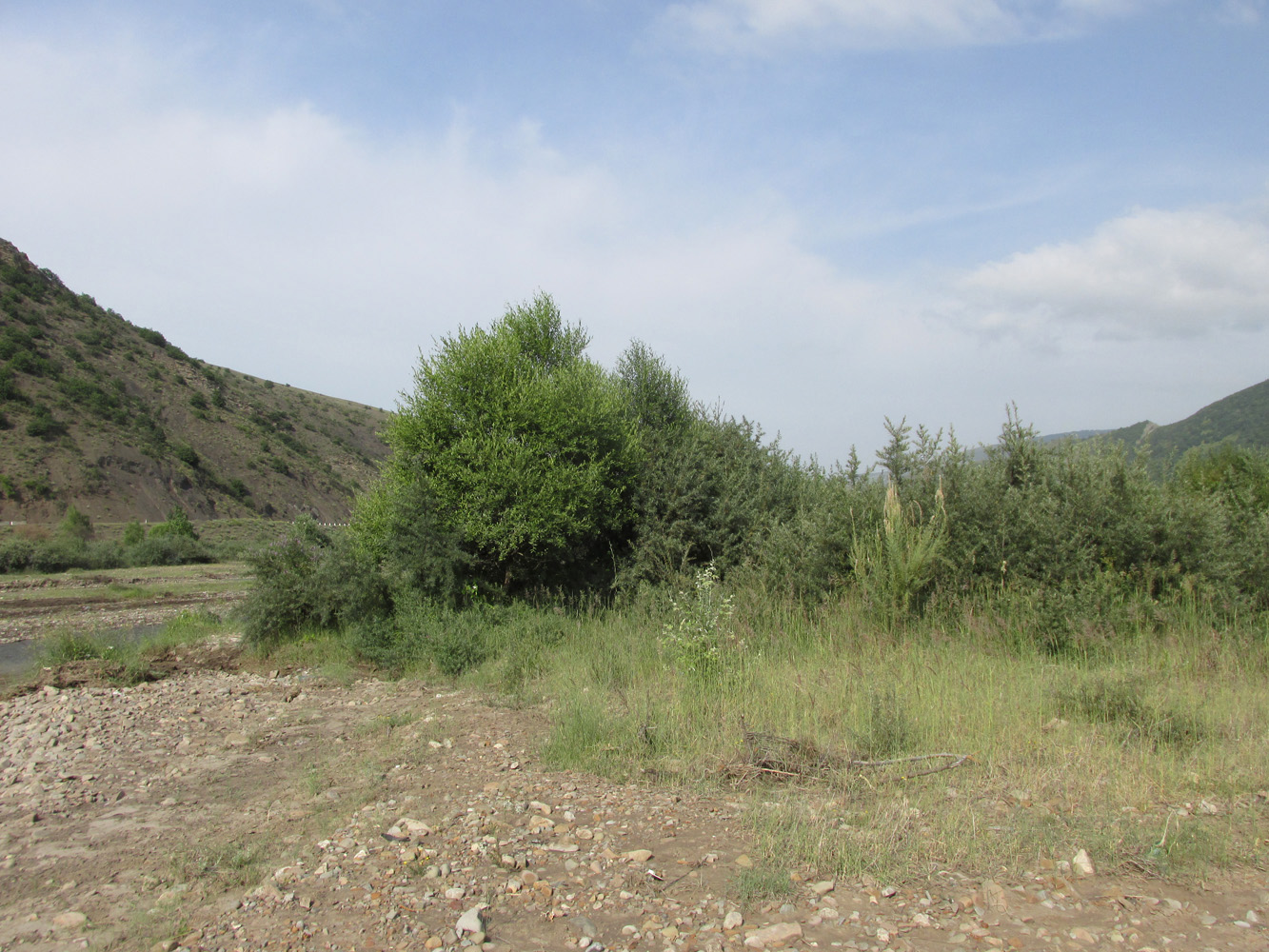 Икра, image of landscape/habitat.