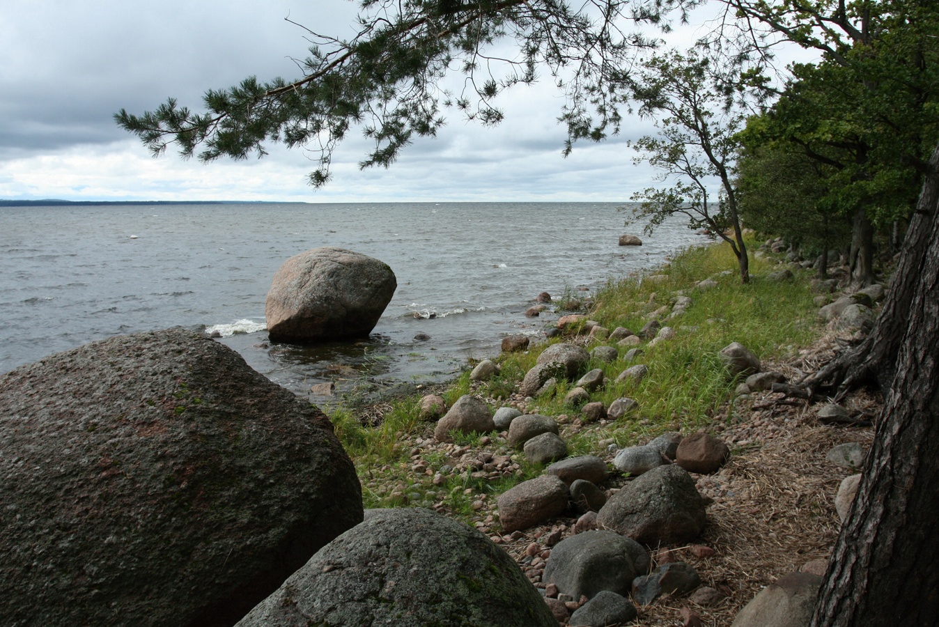 Мыс Дубовский, image of landscape/habitat.