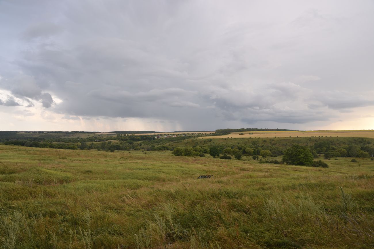 Урочище Стрешнево, image of landscape/habitat.