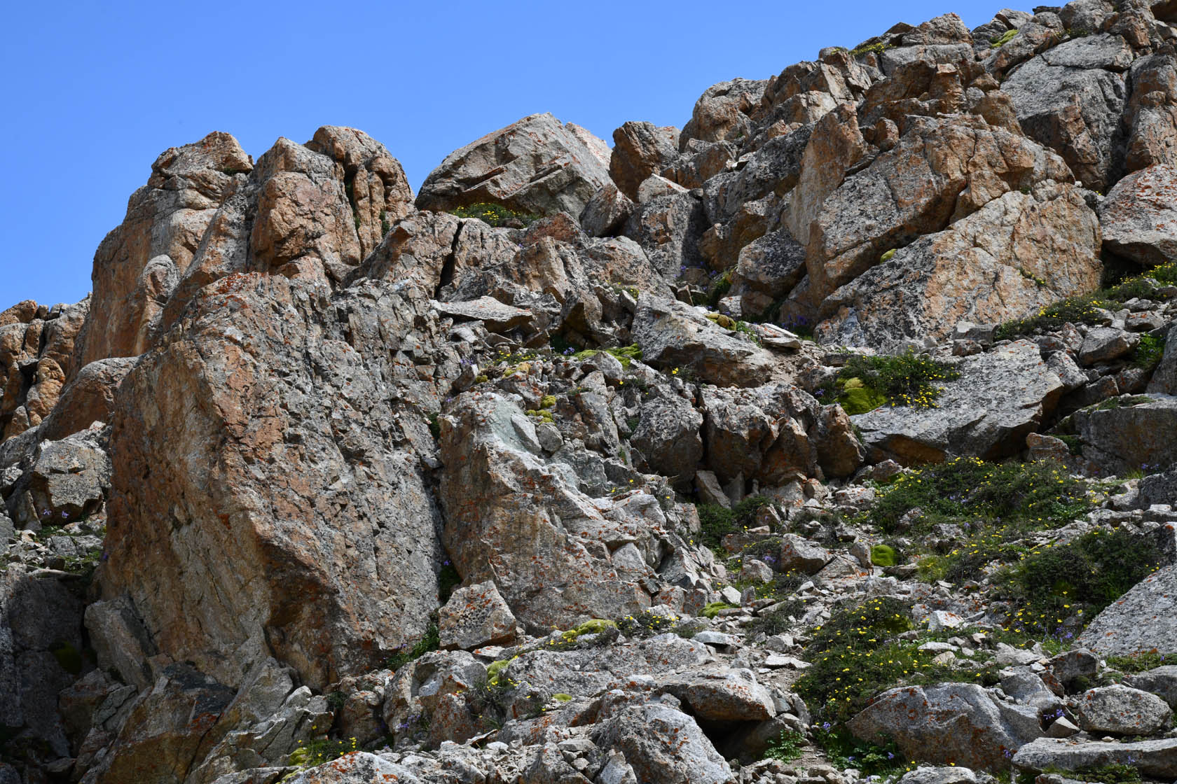 Большое Алматинское ущелье, image of landscape/habitat.