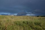 Урочище Стрешнево, image of landscape/habitat.