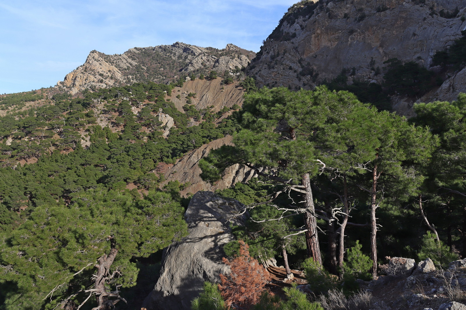 Балаклавские высоты, image of landscape/habitat.