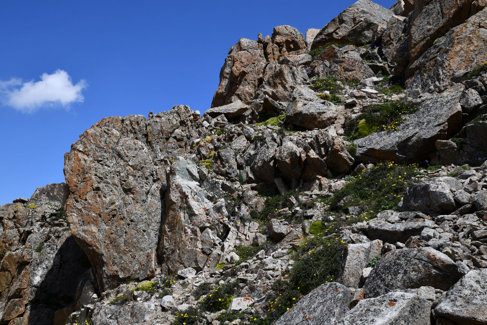 Большое Алматинское ущелье, image of landscape/habitat.