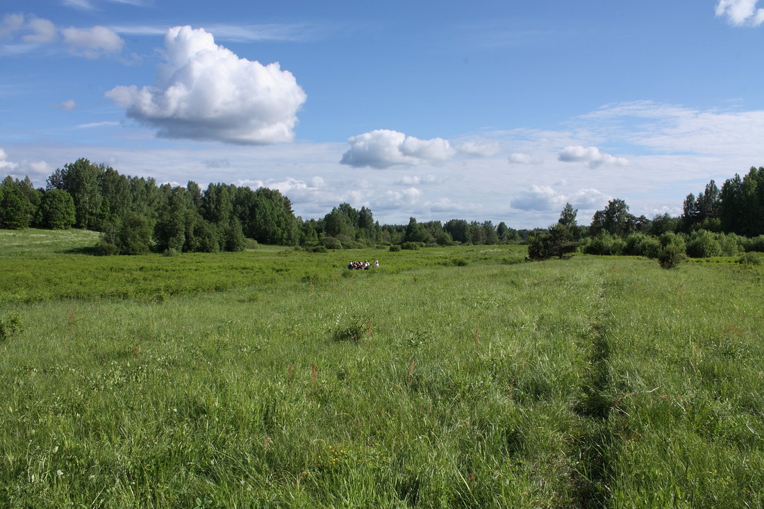 Окрестности Кемки, image of landscape/habitat.