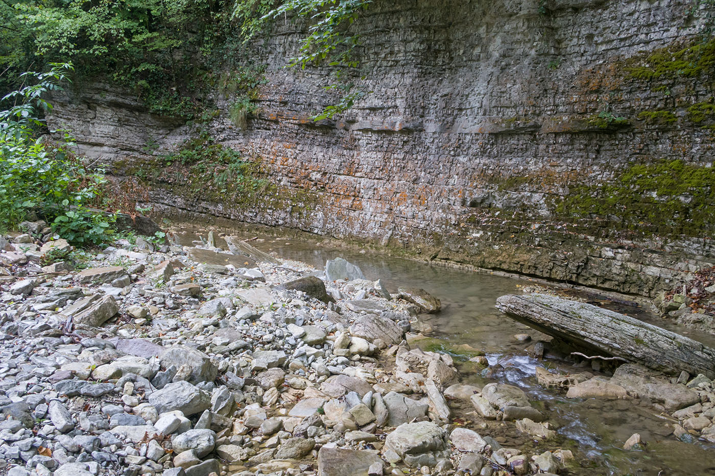 Полковничья щель, image of landscape/habitat.