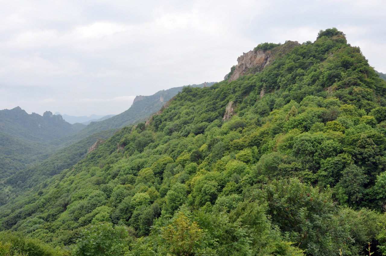 Гора Шоана, image of landscape/habitat.