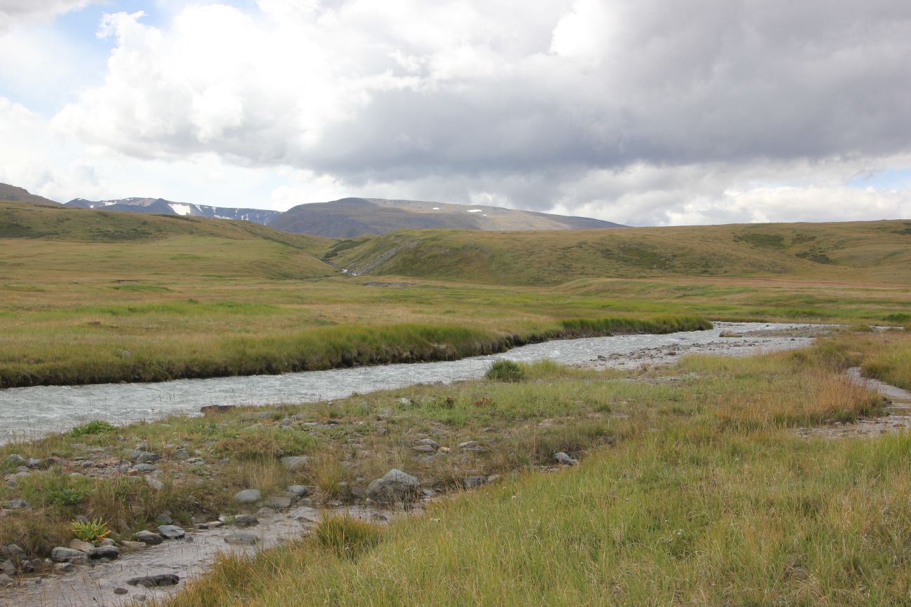 Окрестности реки Музды-Булак, image of landscape/habitat.