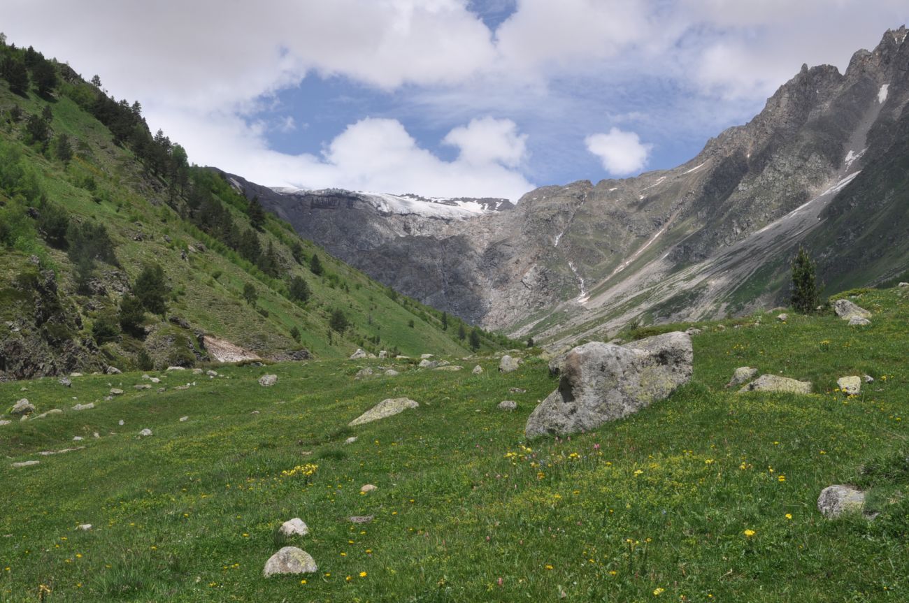 Долина реки Терскол, image of landscape/habitat.