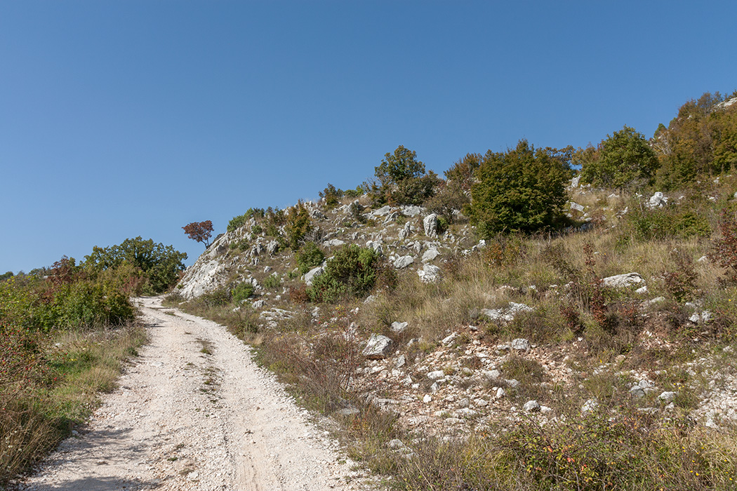 Путь к Космачу, image of landscape/habitat.