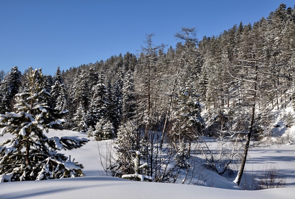 Река Хаим, image of landscape/habitat.