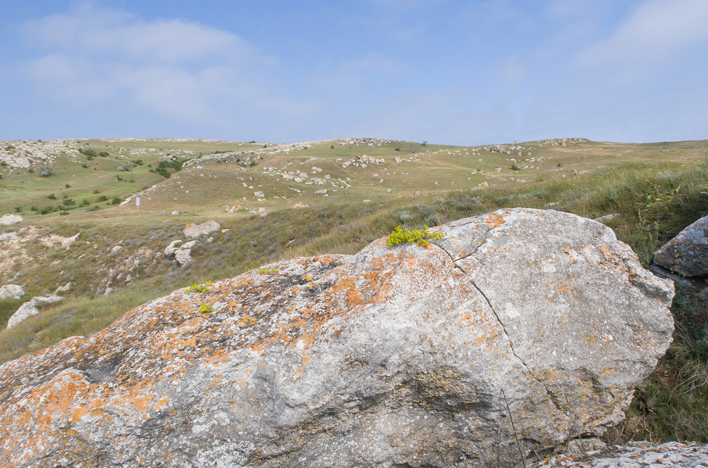 Казантип, image of landscape/habitat.