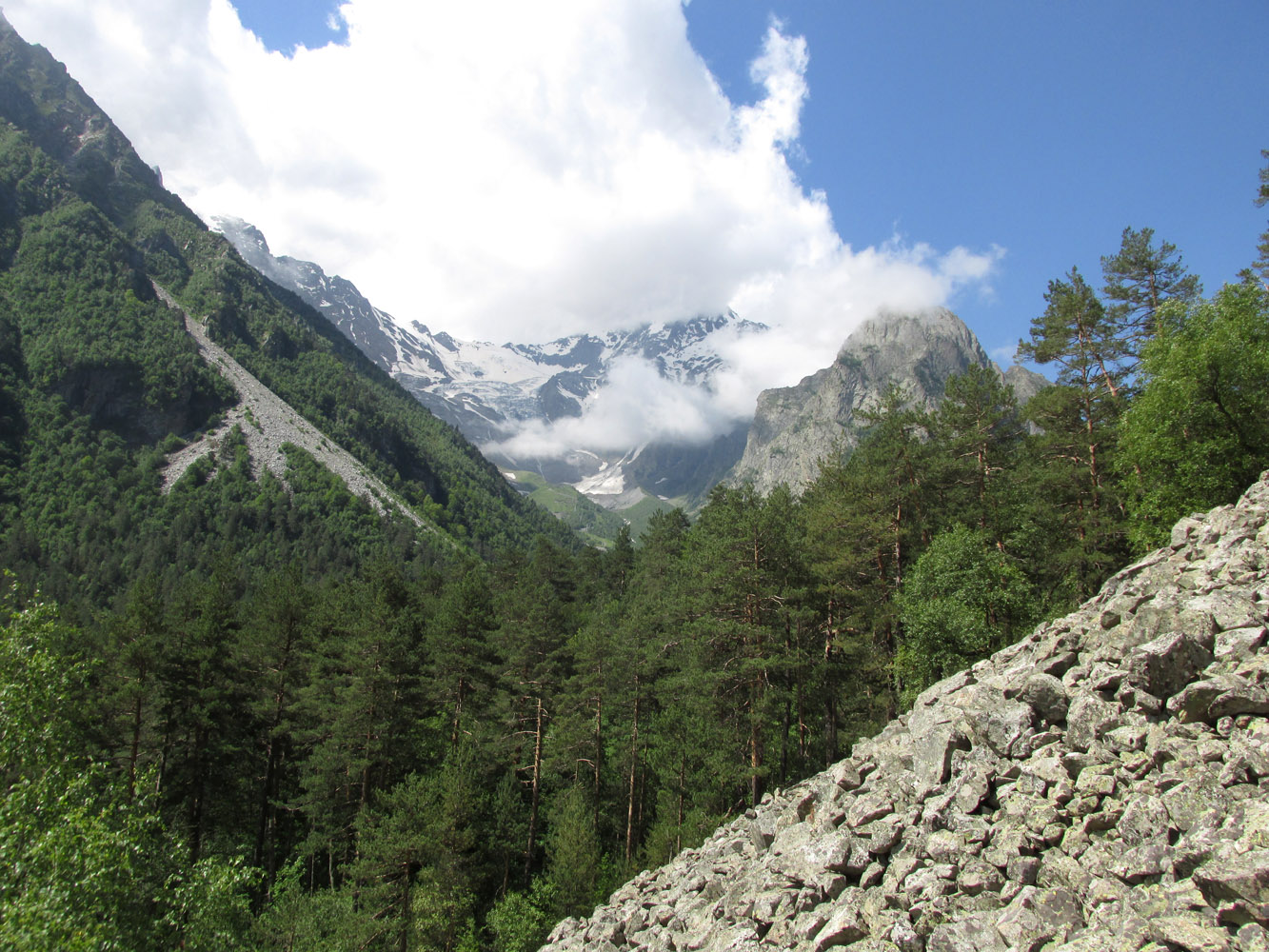 Цейское ущелье (средняя часть), image of landscape/habitat.