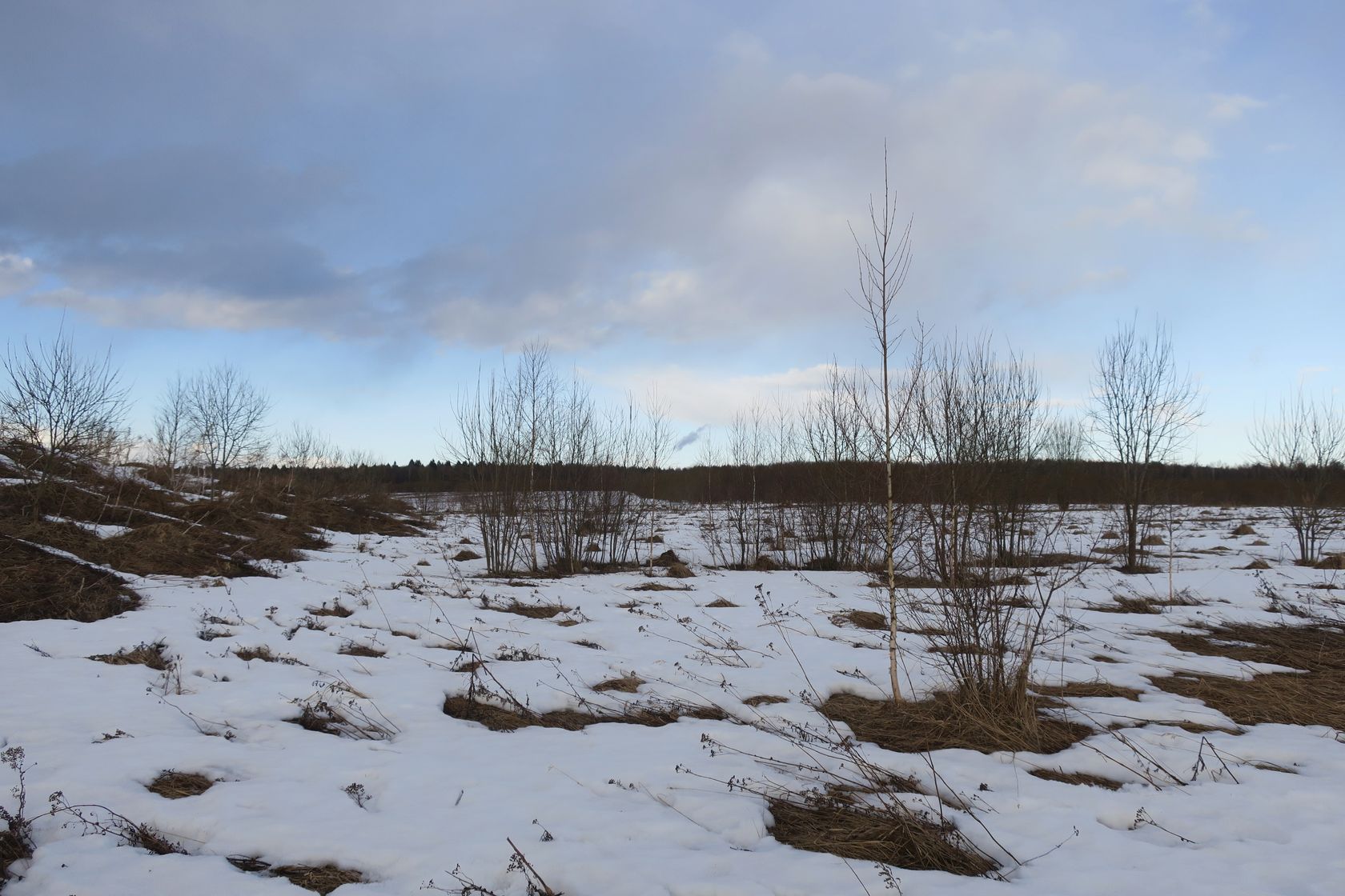 Ерденево, image of landscape/habitat.