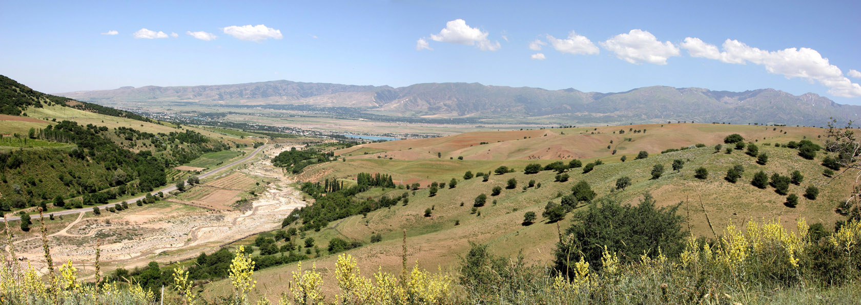 Окрестности города Газалкент, image of landscape/habitat.