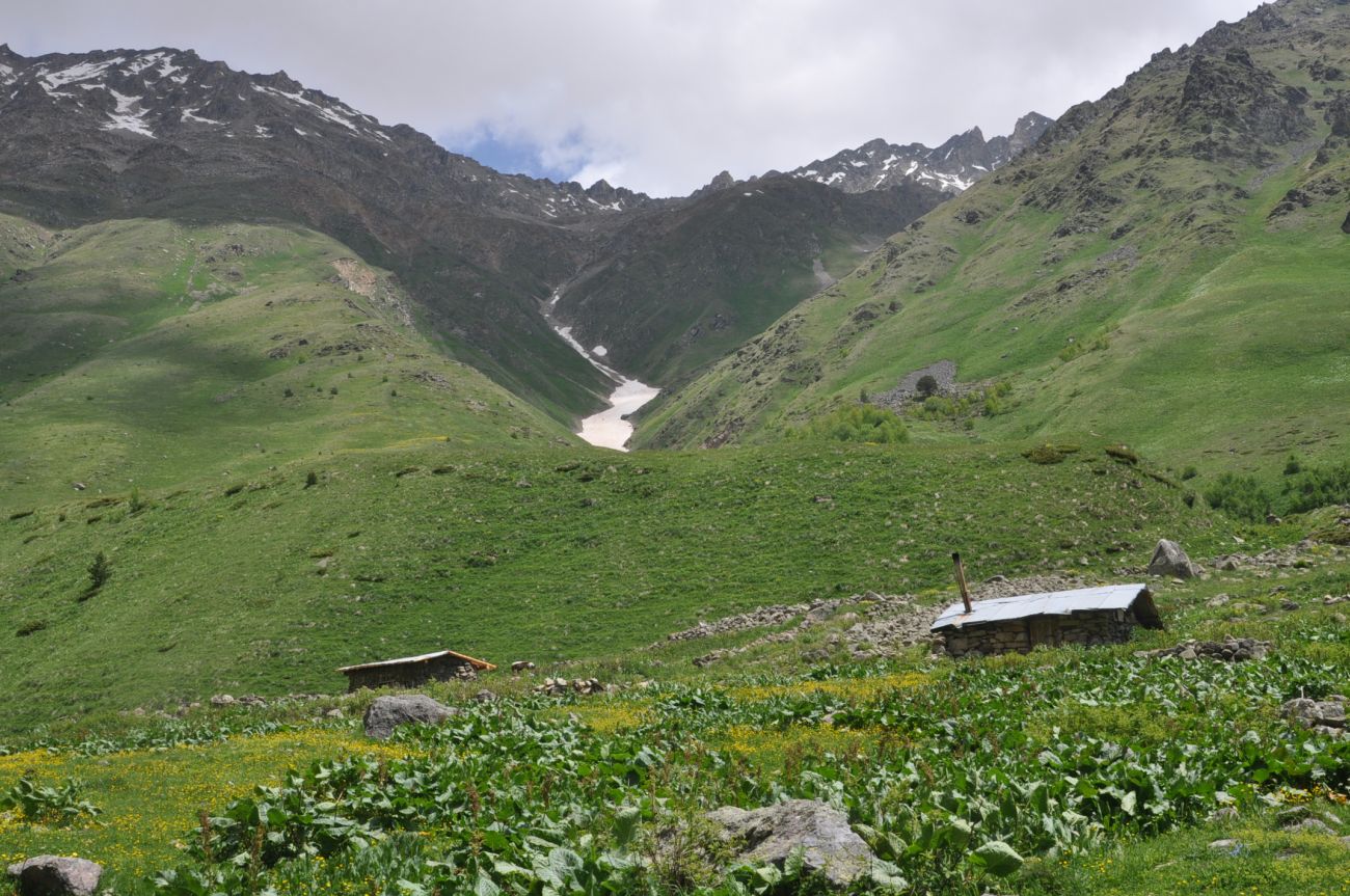 Сары-Кол, image of landscape/habitat.