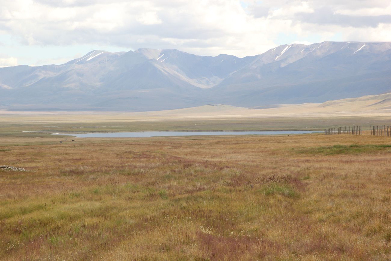 Окрестности реки Музды-Булак, image of landscape/habitat.