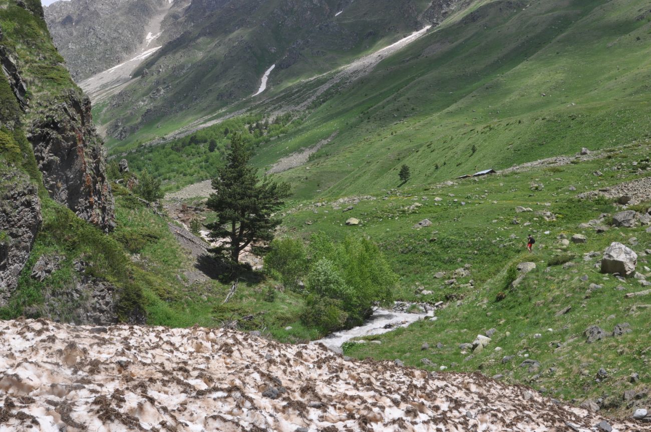 Долина реки Терскол, image of landscape/habitat.