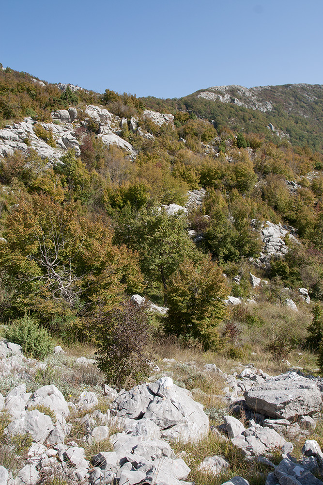 Путь к Космачу, image of landscape/habitat.