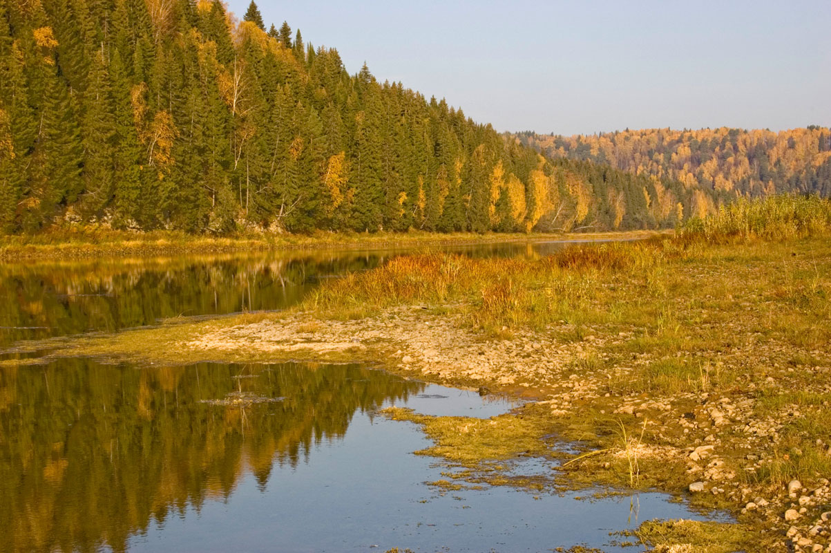 Окрестности деревни Красный Луг, image of landscape/habitat.