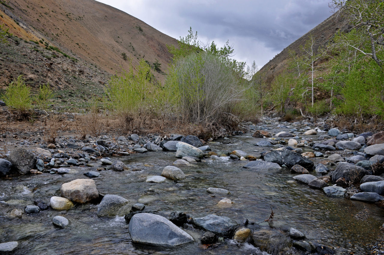 Долина реки Кызыл-Чин, image of landscape/habitat.