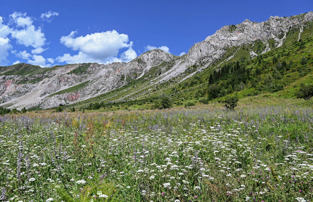 Озеро Ири-Кёль, image of landscape/habitat.