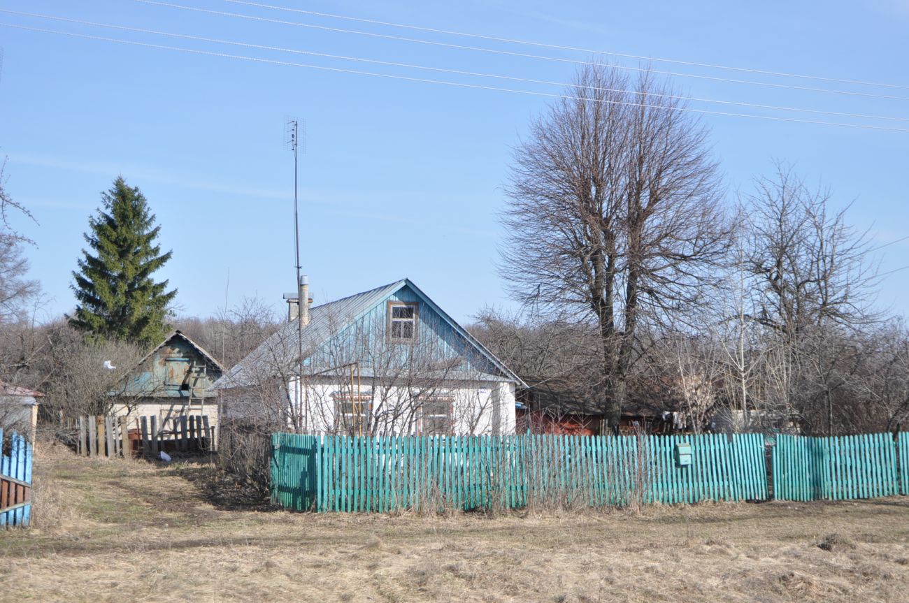 Полибино, image of landscape/habitat.