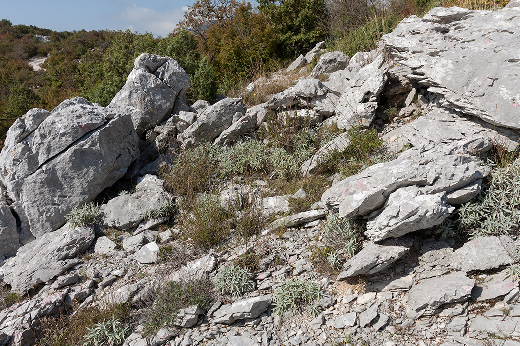 Путь к Космачу, image of landscape/habitat.