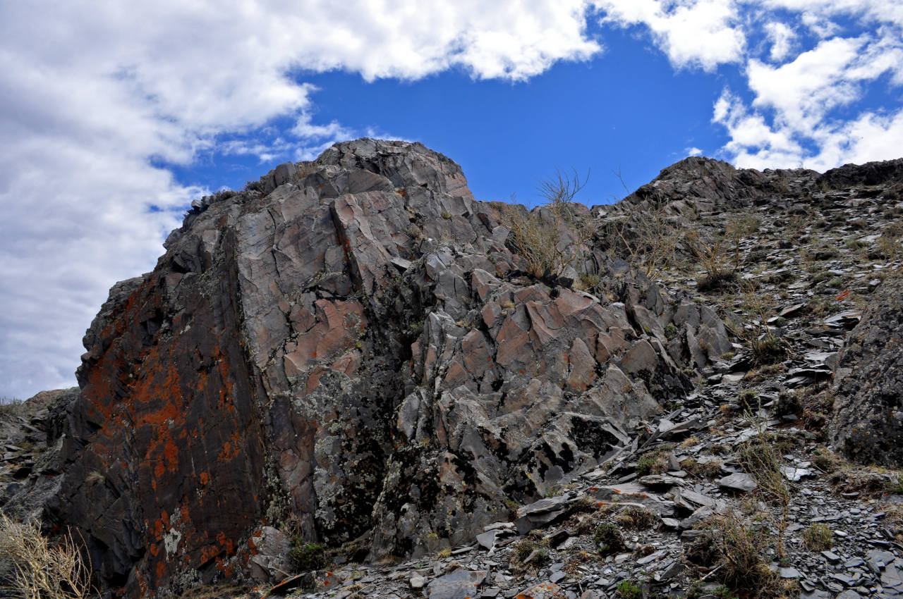 Гора Джангыс-Тобе, image of landscape/habitat.