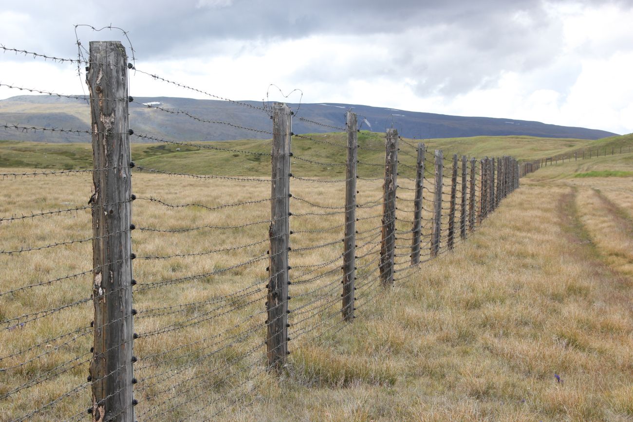 Окрестности реки Музды-Булак, image of landscape/habitat.