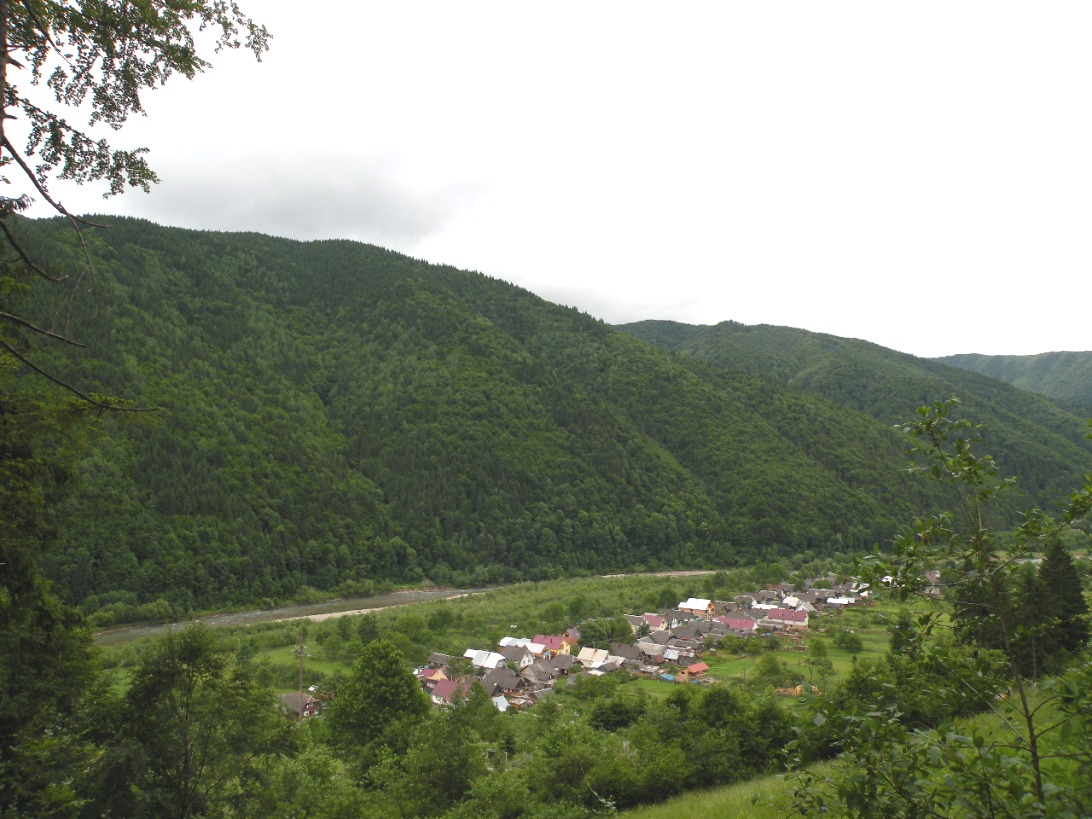 Окрестности с. Усть-Черная, image of landscape/habitat.