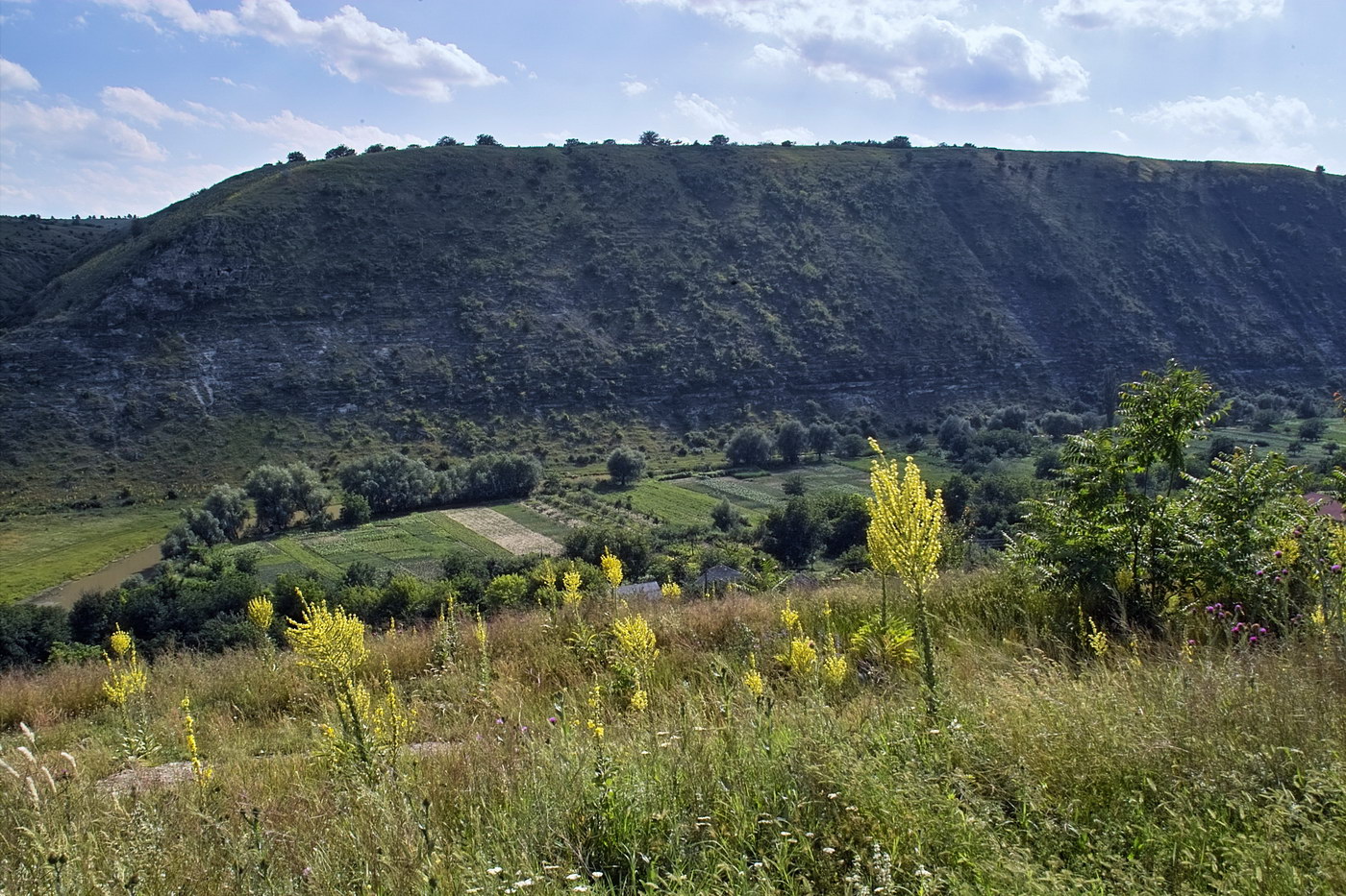 Требужены, image of landscape/habitat.