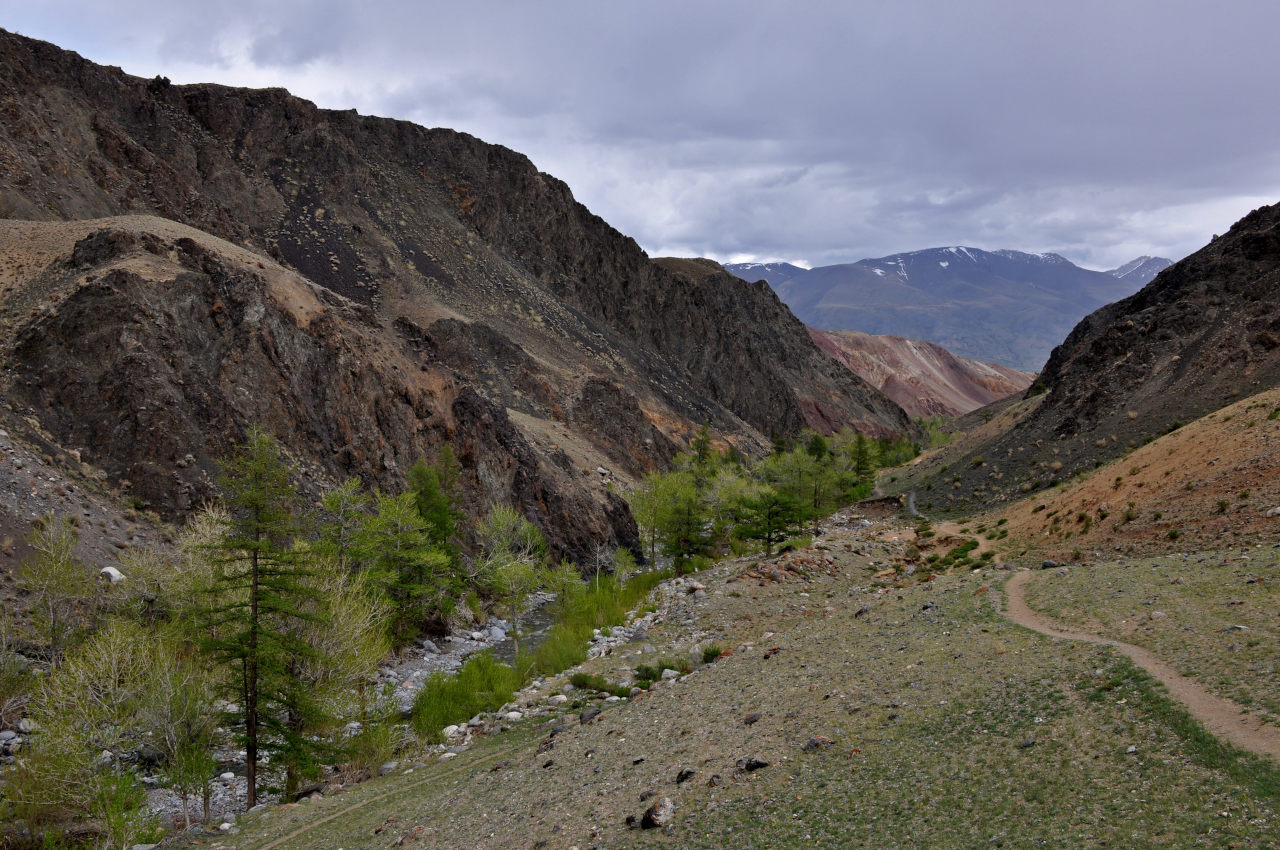 Долина реки Кызыл-Чин, image of landscape/habitat.