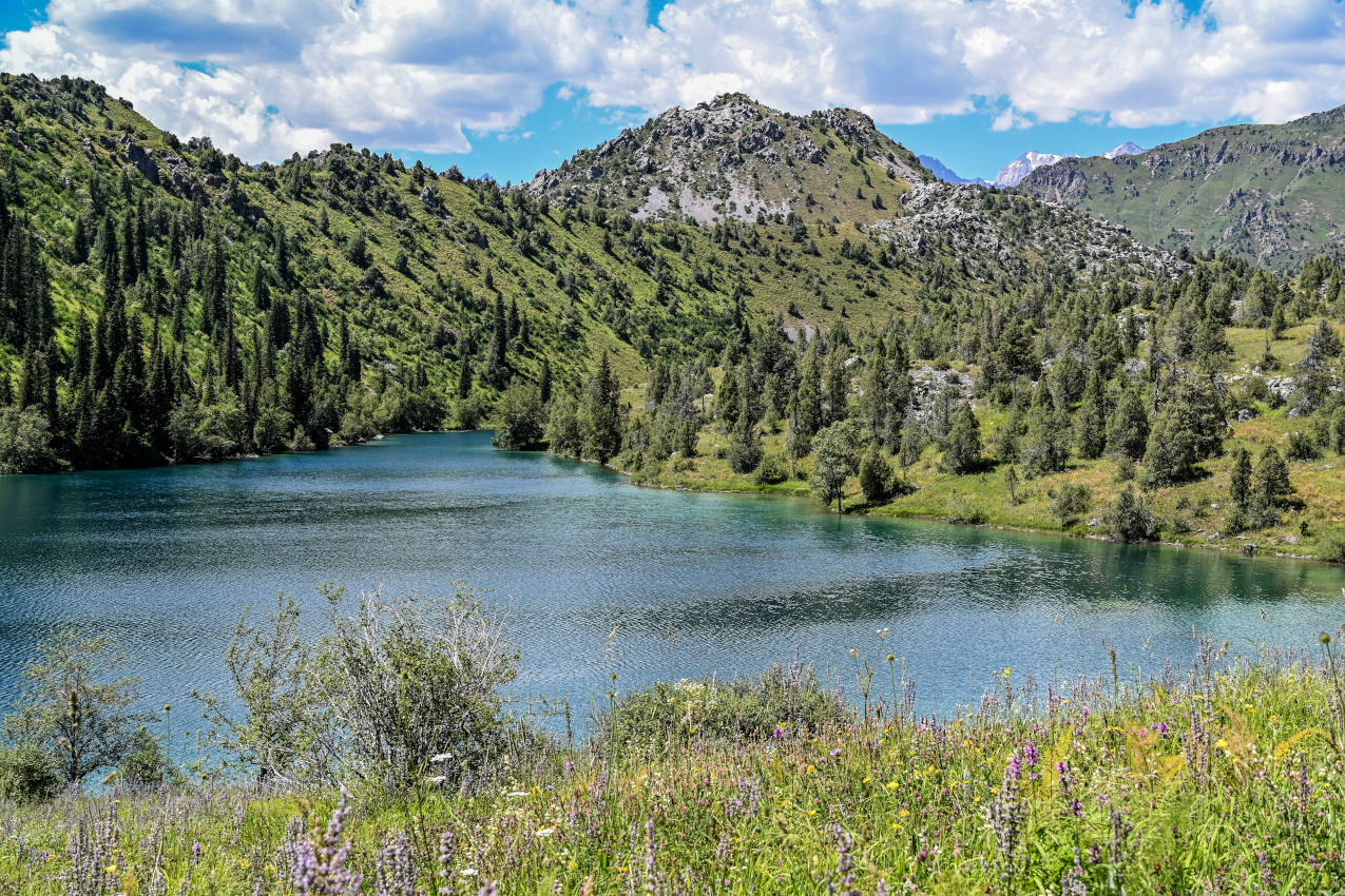 Озеро Ири-Кёль, image of landscape/habitat.