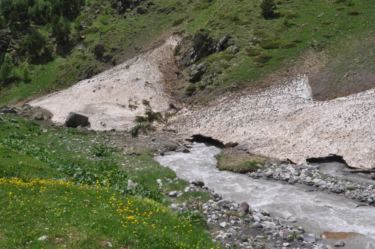 Сары-Кол, image of landscape/habitat.