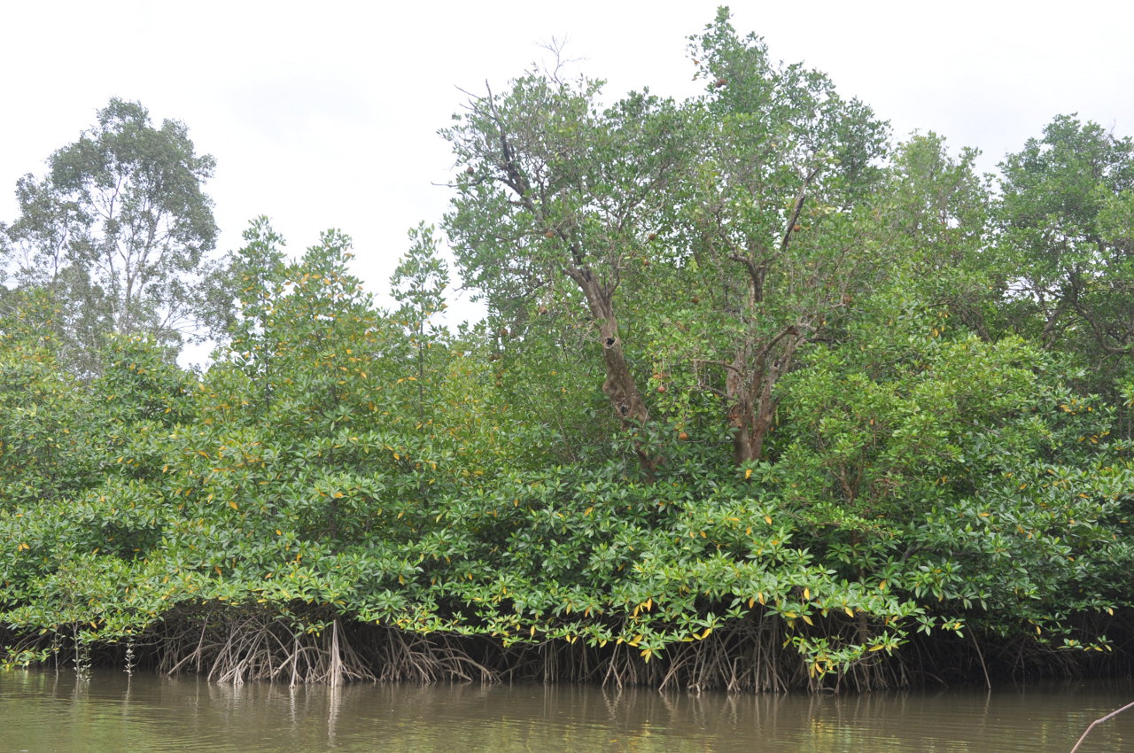 Си Пханг Нга, image of landscape/habitat.