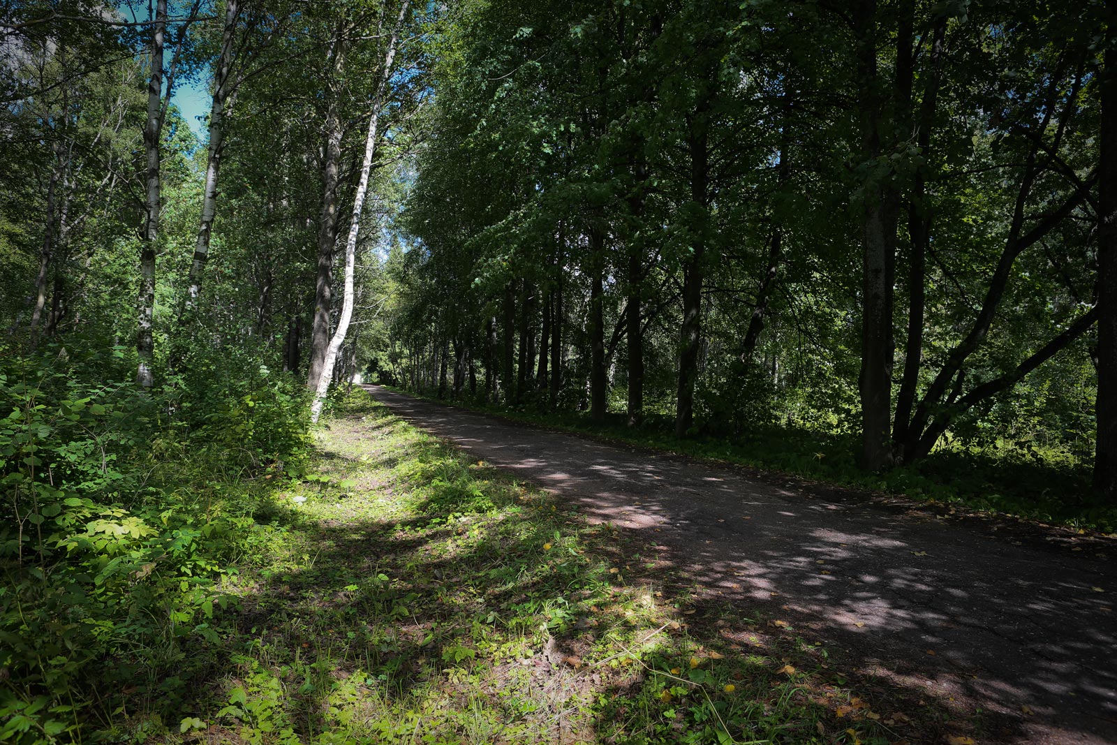 Местечко Ботик, image of landscape/habitat.