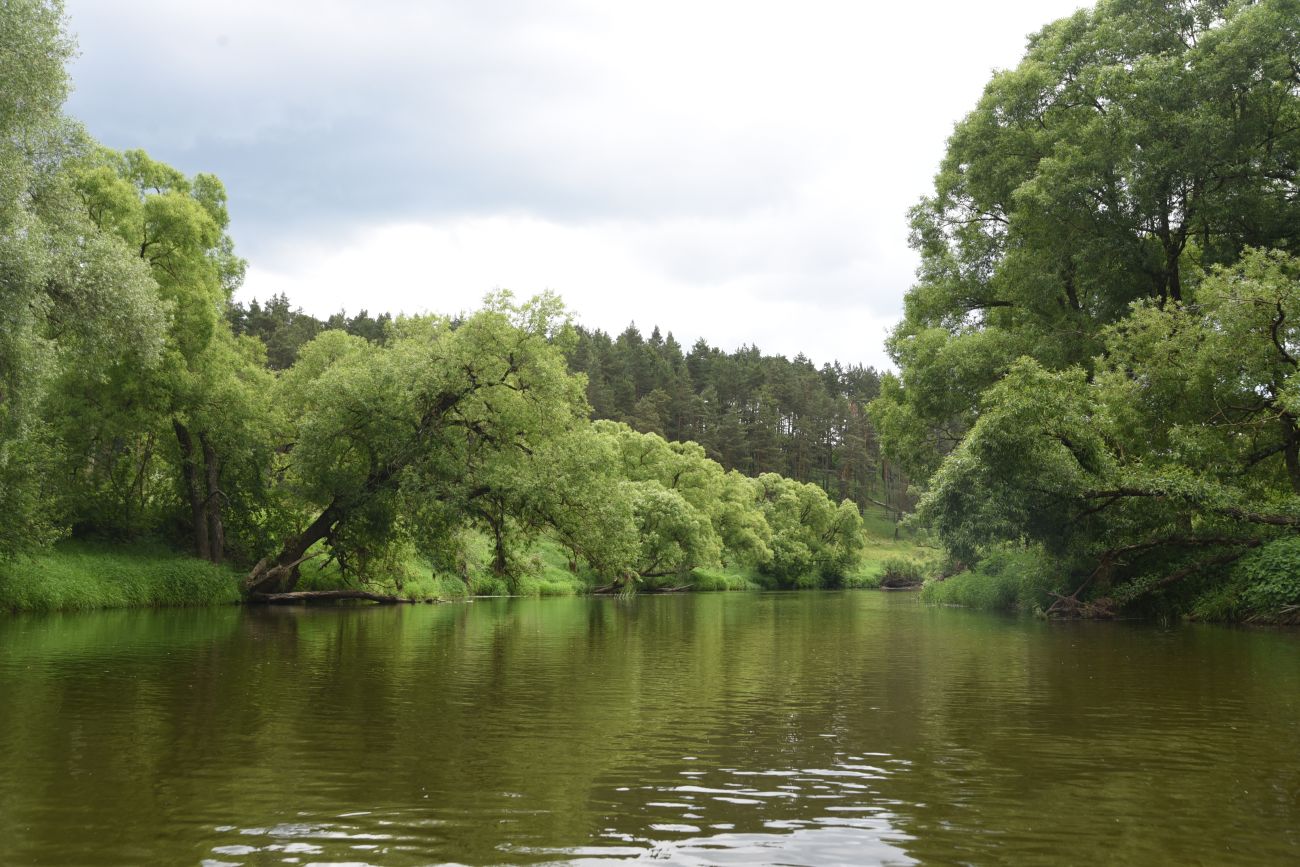 Боровск, image of landscape/habitat.