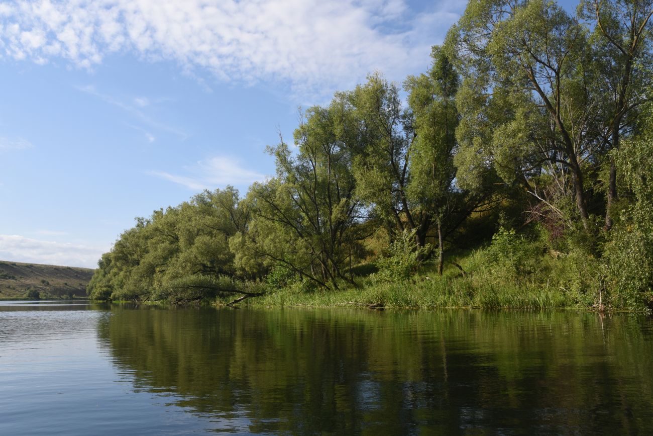 Верхняя Павловка, image of landscape/habitat.