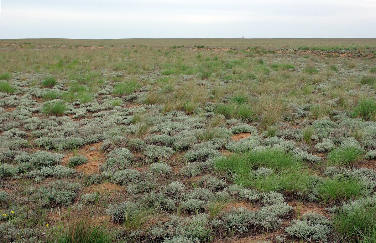 Улан Хол, image of landscape/habitat.