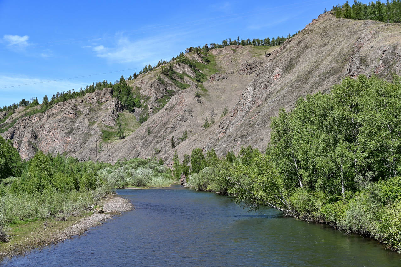 Долина реки Сарала, image of landscape/habitat.